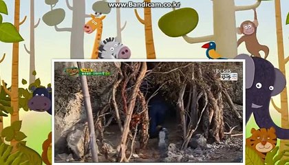 씨오디소프트 바카라시스템 자동 최초도입 카톡haricuty스카이프cuty hary