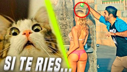LOS MEJORES FALLOS VIDEOS PARA MORIRSE DE LA RISA #7  LAS IDEAS Y GOLPES MAS TONTOS DE YOUTUBE