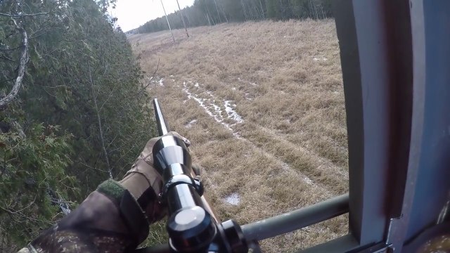 A Successful 2016 Wisconsin Antlerless Whitetail Deer Hunt - December 10, 2016