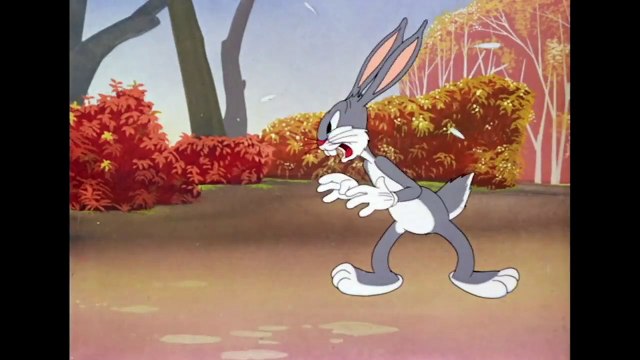 Looney Tunes _ Bugs Bunny Hunt _ Boomerang UK-XvvRYnphqG4