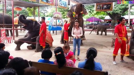 Chú Voi Con Ở Bản Đôn - Nhạc Thiếu Nhi Vui Nhộn