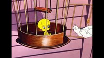 Looney Tunes _ Tweetie's Luck Day _ Boomerang UK-s5rXkdRn8Nw