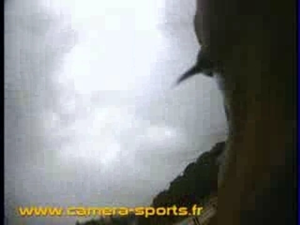 CAMERA EMBARQUEE CHEVAL : le galop vu par le cheval