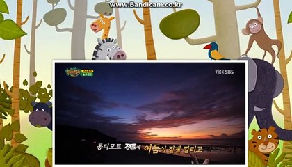 토토분양, 토토제작판매, 바카라게임접목 카톡:haricuty 스카이프:cuty hary