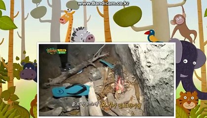 사설사이트제작 배팅사이트제작 카톡:haricuty 스카이프:hary cuty - 바카라게임최초도입(자동)