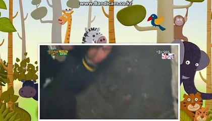 사설토토,관리자소스판매 카톡:haricuty 스카이프:cuty hary