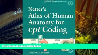 Read  Netter s Atlas of Human Anatomy for CPT  Coding  Ebook READ Ebook