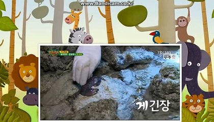 스포츠토토솔루션,올자동,토토솔루션판매(토토솔루션소스)가격 공개!ね 카톡: haricuty스카이프:cuty hary