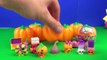 Ultimate Halloween Shopkins Spooky Pumpkin Surprises Toys Review Surprise Opening-jk_lBu