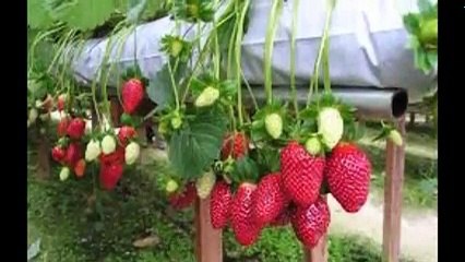 Danh lam thắng cảnh - Việt Nam đất nước con người