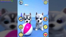 My Talking Dog Husky: Husky Kids Play With Each Other Game App For Kids.