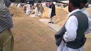 پاکستان چین کوچاول برآمد کرنےوالادوسرا بڑا ملک-ttfXYl8Ojuw