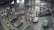 5 inmates injured in brawl at largest prison in US