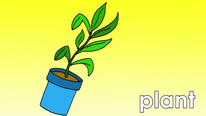 Around The House _ Talking Flashcards-L3nigtEU7rE