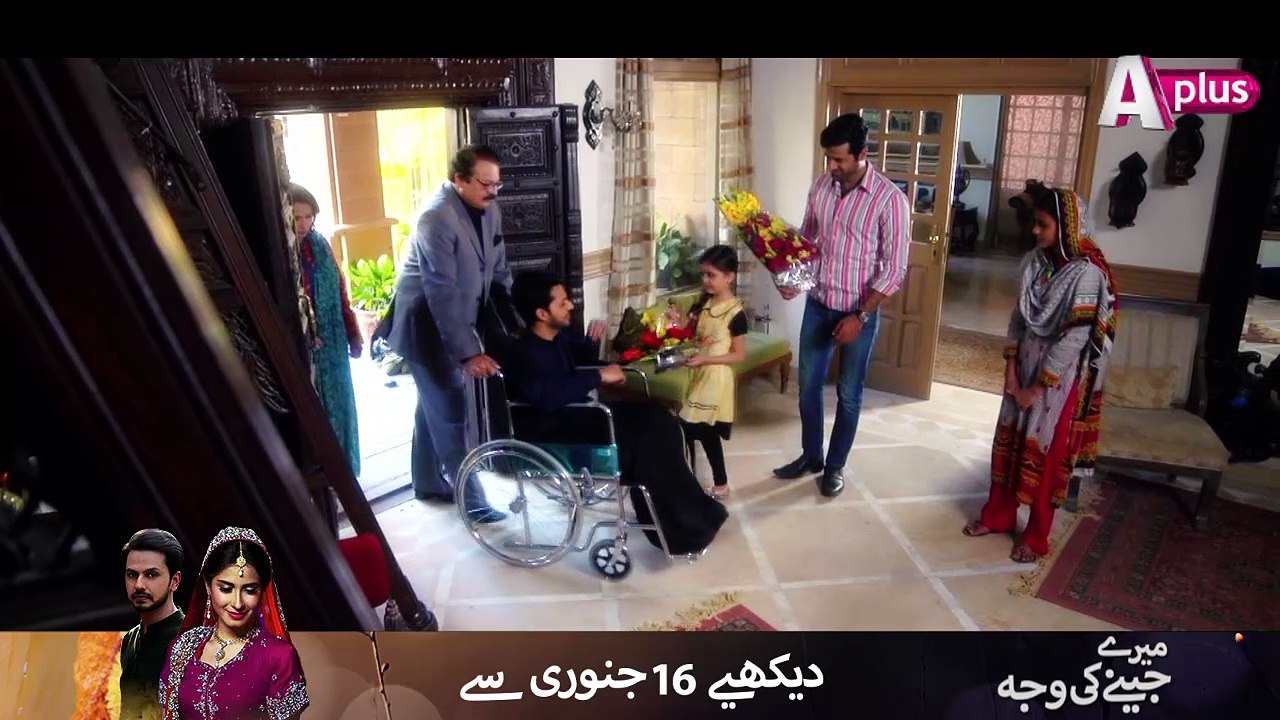 Meray Jeenay Ki - Starting From 16th January - Mon-Thu at 9:40pm on APlus