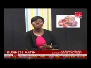 Business Matin   La bonne affaire   La culture de l'ail violet /Business 24