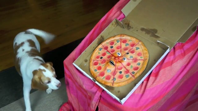 Говорящая пицца Розыгрыш собак