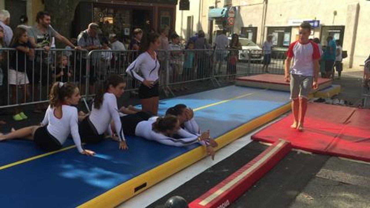 Démonstration spectaculaire de gym acrobatique au salon des...