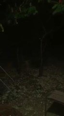 Des grêlons gros comme des œufs tombent sur...