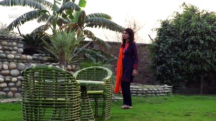 Apnay - Episode#59 - Complete - 7 Jan,2017 - SEE TV