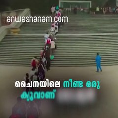 ഈ ക്യൂ..എന്തിനാണെന്നോ