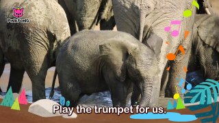 Elephant _ Animal Songs 2 _ Pinkfong Songs for Children-z4FbTIldHys