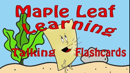 Learn Sea Animals _ Talking Flashcards-ls5hoi9t2UE