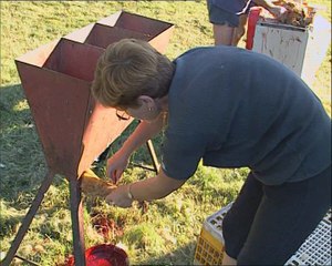 Paroles d'habitants, manières d'habiter : Sérignac