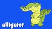 Learn Zoo Animals Vocabulary _ Talking Flashcards--98LZyxpXcc
