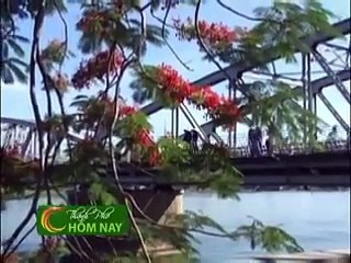 Món "Bánh Bèo Bột Lọc" - tinh tế như người xứ Huế