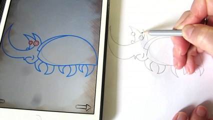 Как нарисовать для детей. Рисуем Жук-Носорог. How to draw for children. Insect Rhinoceros Beetle