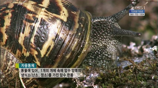 동물의 세계 20170109