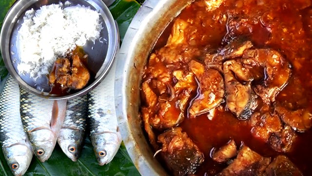 How to Make Fish Curry, Village Style Cooking of Fish Curry Recipes, Easy Way to Cook Fish Curry