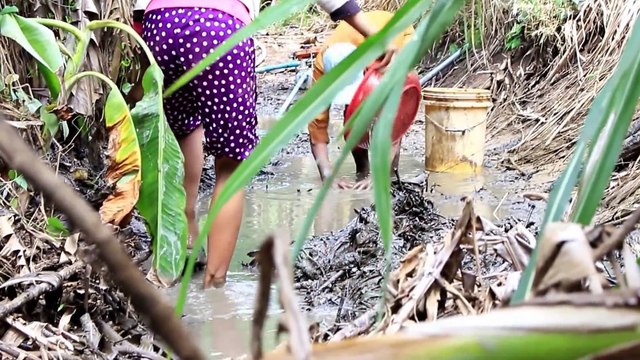 Net Fishing at pailin Province - Khmer Cast Net Fishing -Cambodia Traditional Fishing ( Part 57)
