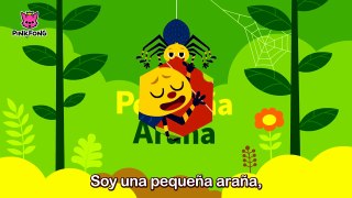 Pequeña Araña _ Bichos _ PINKFONG Canciones Infantiles-DQ1Ffgev5RQ