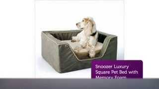 Buy Snoozer Luxury Pet Beds : Call Us 1-888-942-6626
