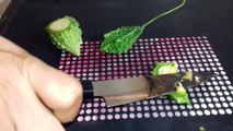AMAZING SCIENCE EXPERIMENT-Vegetable VS Knife.