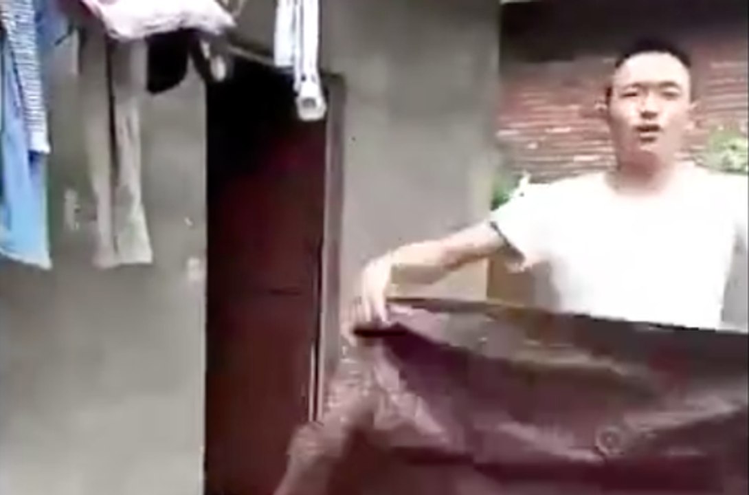 Le tour de magie de cet homme finit pas comme prévue !