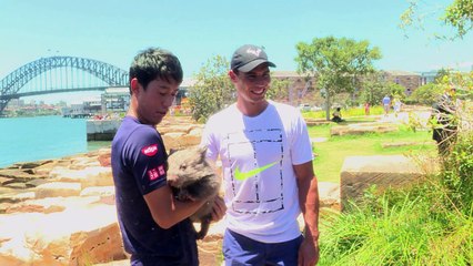 Nadal's passion for tennis undimmed despite injuries