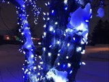 Lumières de Noël dans un arbre / installation / Déco Romax / Québec