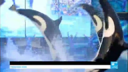 US - SeaWorld ends its long running killer whales show after years of criticism