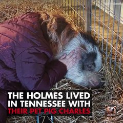 Pet Pig Survives Fire