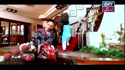 Mai Nee Last Episode - on ARY Zindagi in High Quality 9th January 2017