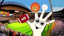 SPORTS BALLS Finger Family | Songs For Kids | Surprise Eggs Animation for Children | Nursery Rhymes