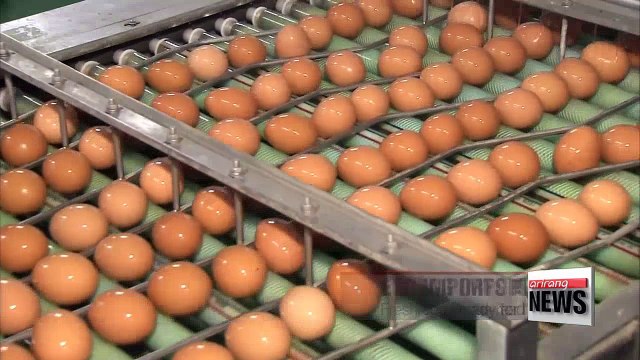 Fresh eggs to be imported from U.S. within this week