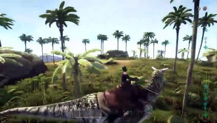 The Ark the Center (25)