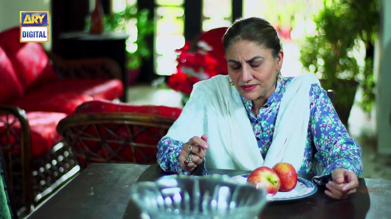 Watch Mein Mehru Hoon Episode 118 - on Ary Digital in High Quality 9th January 2017