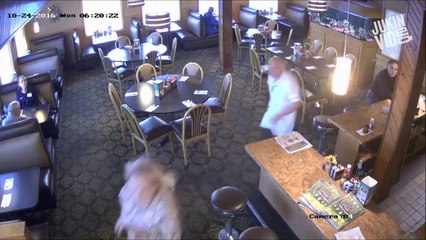 Ortalığı birbirine katan geyik