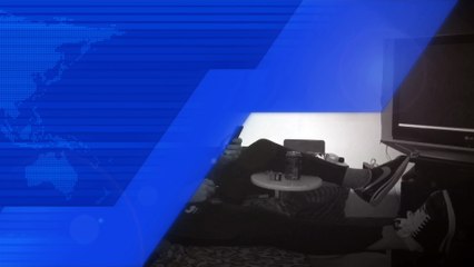 CharoDeli Freestyle PRODROME Stade 1 Paw Paw Paw Bang 