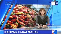 Harga Cabai Melambung, Pedagang Merugi